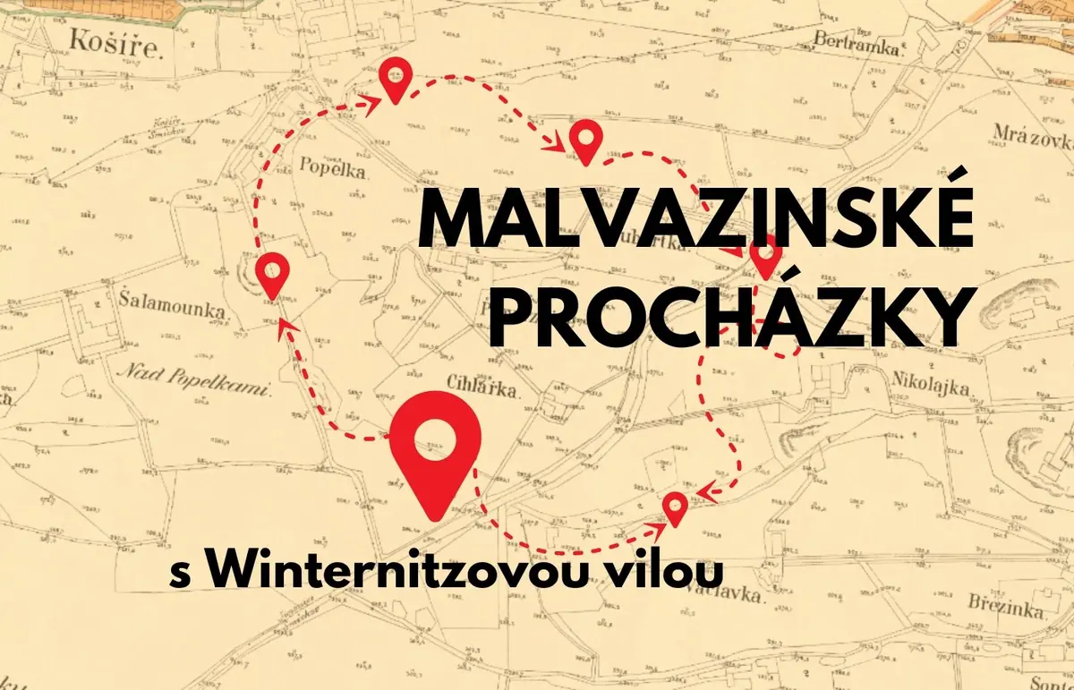 Прогулки по Малвазинкам - Маршрут I. "Тайны Чёрной горы" — Winternitzova vila, Прага