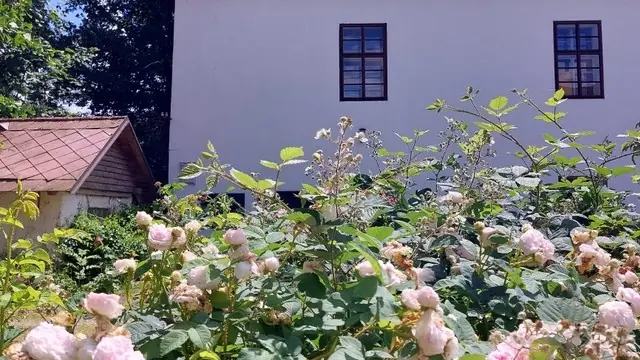Petrkov v červnu — Památník národního písemnictví / Muzeum literatury, Praha