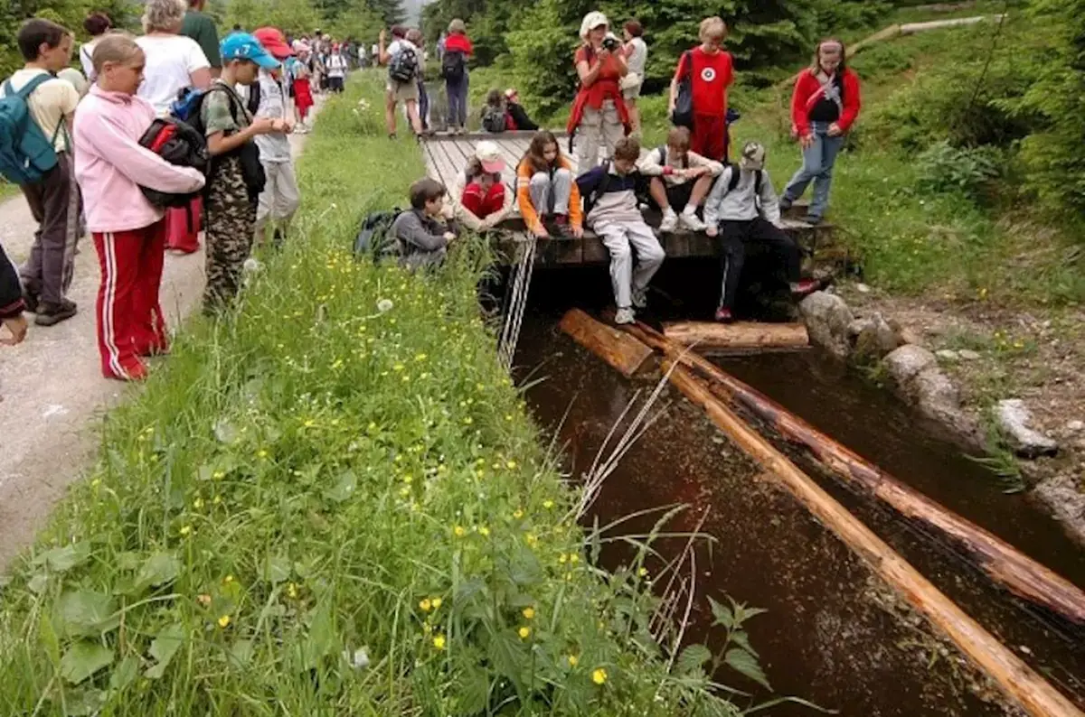Встреча с традицией на Шварценбергском судоходном канале на Еленьих Врших 2026 — Schwarzenberský plavební kanál, Nová Pec
