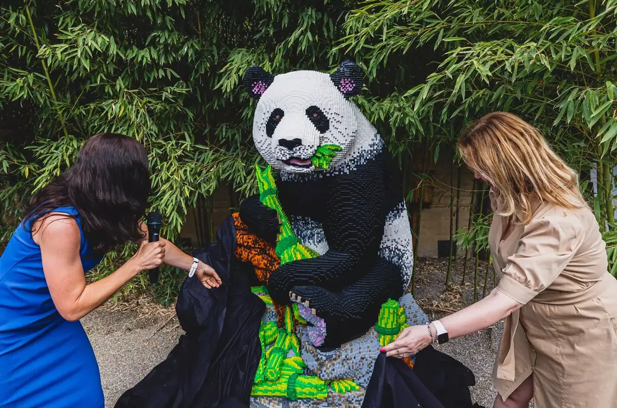 Panda velká z kostek a hravé dobrodružství pro děti v Zoo Praha — Zoologická zahrada hl.m.Prahy, Praha