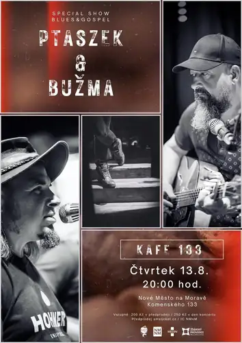 Ptaszek & Bužma - Blues & Gospel