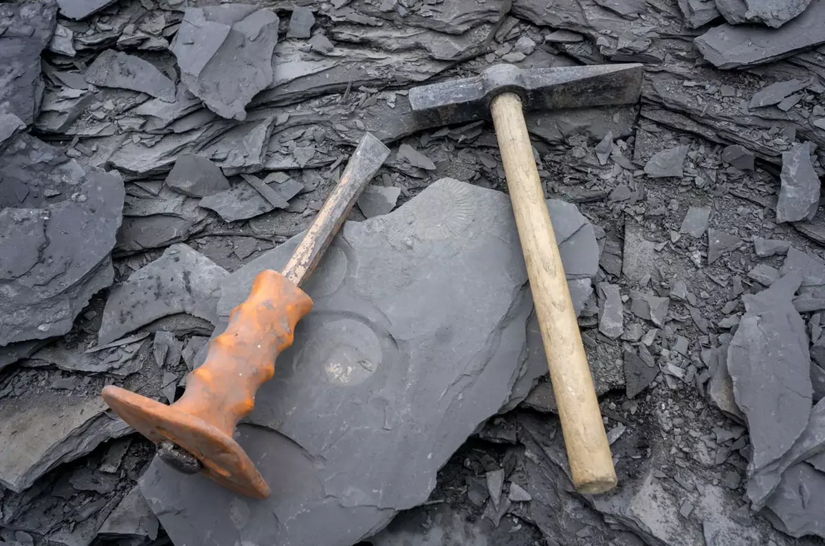 Archaeological Discoveries - Ten Years of Collaborative Work at Pavilon Anthropos MZM — Pavilon Anthropos, Brno