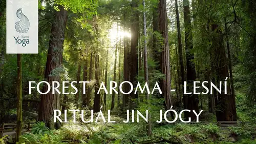 FOREST AROMA - LESNÍ RITUÁL JIN JÓGY | DARA RAKOVČÍK