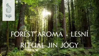FOREST AROMA - ЛЕСНОЙ РИТУАЛ ИНЬ-ЙОГА | ДАРА РАКОВЧИК