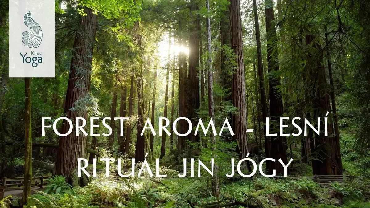 FOREST AROMA - LESNÍ RITUÁL JIN JÓGY | DARA RAKOVČÍK — Praha
