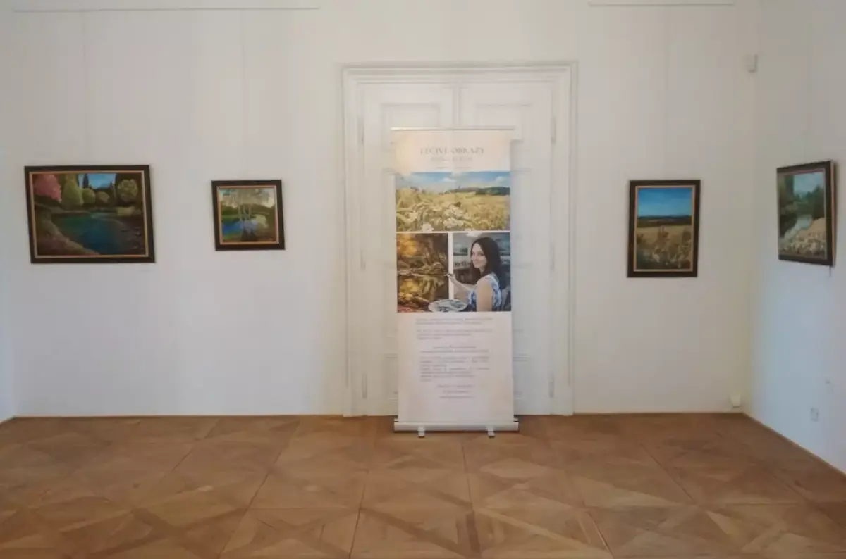 Свет в пейзаже - образы, которые успокаивают ум — Zámek Dobříš – zámecká galerie, Добржиш