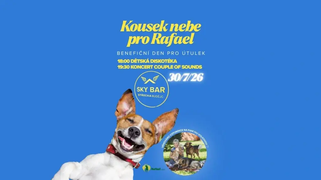 Кусочек неба для Рафаэля — Крыша Будейовице, Ческа-Будеёвице