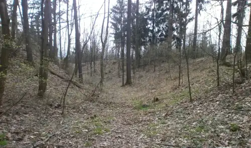 Archäologischer Spaziergang: Überreste der Burg Bludov