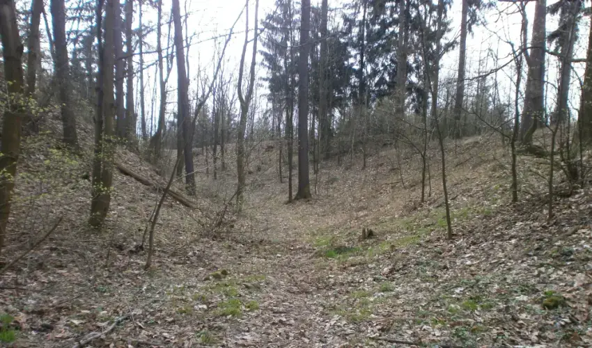Archeologická vycházka: Pozůstatky hradu Bludov — Vlastivědné muzeum v Šumperku, Šumperk
