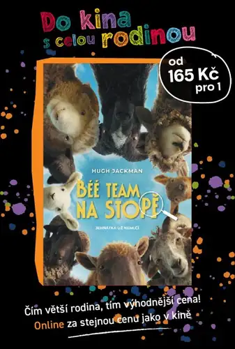Béé team na stopě