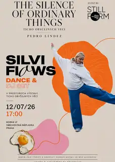 Stillform präsentiert - Silvi Flows Dance & DJ Set