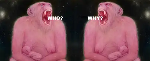 WHO? WHY?