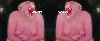 WHO? WHY?
