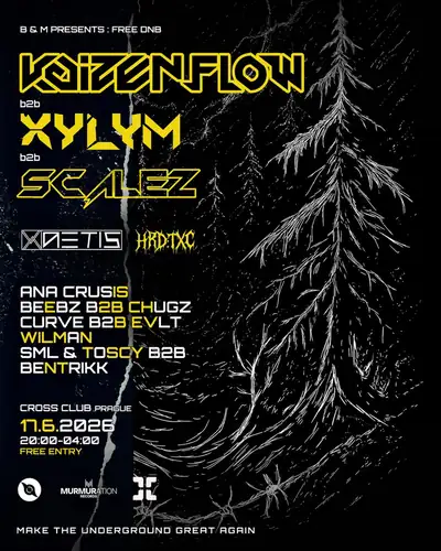 B&M Presents: Free DNB