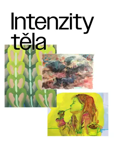 Intenzity těla