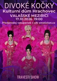 Wild Cats Travesti Show in Hrachovec