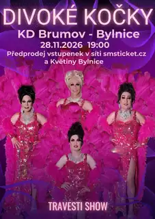 Travesti show Divoké kočky v Brumově - Bylnici