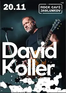 David Koller