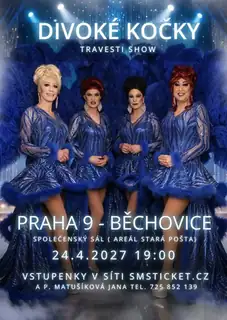 Travesti Divoké kočky in Prag