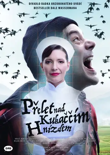Полет над гнездом кукушки