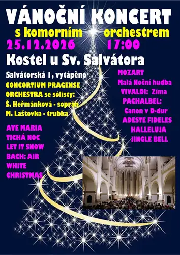 Рождественский концерт с оркестром Consortium Pragense Orchestra