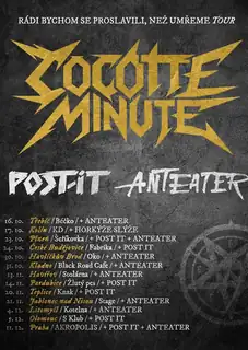 Cocotte Minute