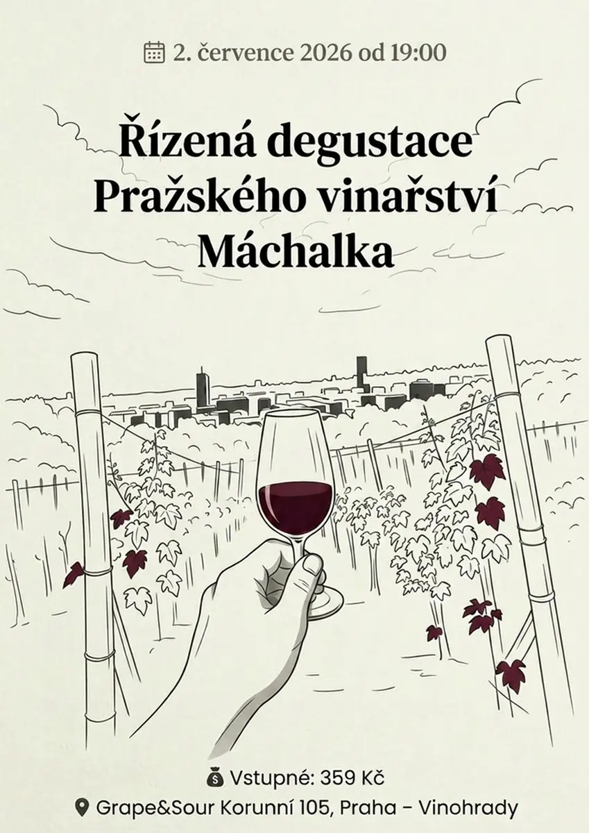Geführte Verkostung des Weinguts Máchalka Prag — Grape & Sour Wine Bar, Prag