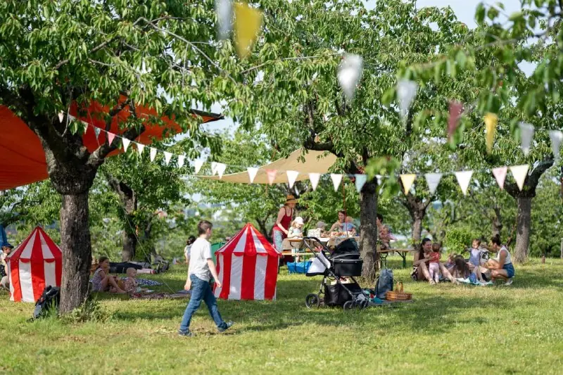 Třešňobraní (cherry self-picking) — Prague