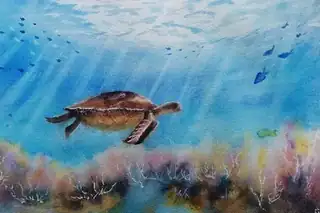 Die Geschichte des Wassers in Aquarell