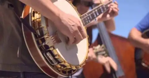 Королевский двор летом - Bluegrass