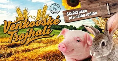 Сельское Трёхзальное