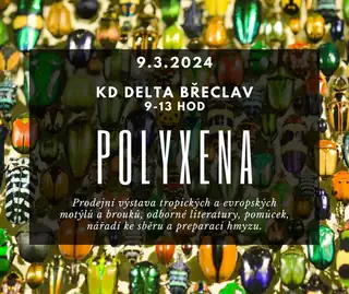 POLYXENA: Выставка-продажа тропических и европейских бабочек и жуков, специальной литературы, инструментов и оборудования для сбора и препарирования насекомых