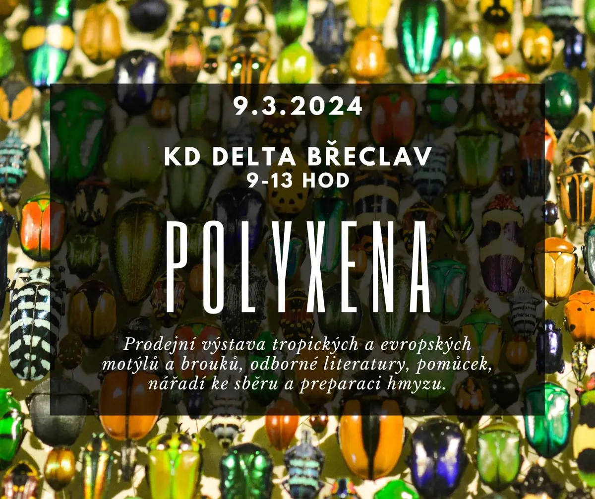 POLYXENA: Выставка-продажа тропических и европейских бабочек и жуков, специальной литературы, инструментов и оборудования для сбора и препарирования насекомых — Kulturní dům DELTA, Бржеклав