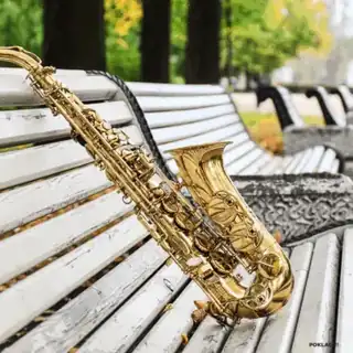 Summer Concert | Evergreen Party