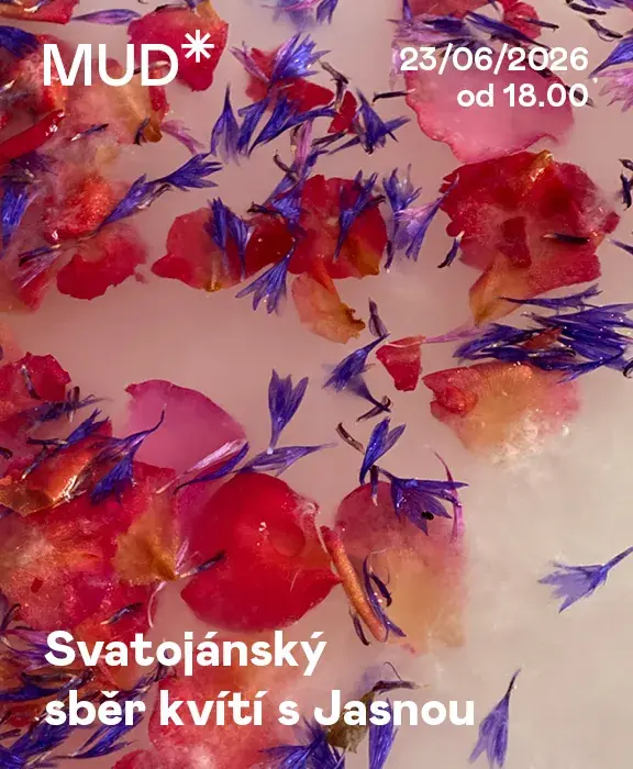 Svatojánský sběr kvítí s Jasnou — Muzeum umění a designu Benešov, Benešov u Prahy