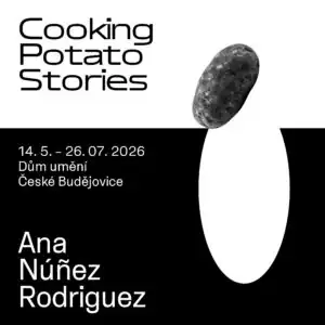 Führung: Ana Núñez Rodríguez | Cooking Potato Stories