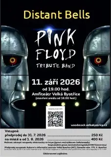 Distant Bells - Pink Floyd Tribute Band
