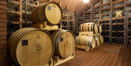 Sunday Cellar - Guided Tours of the Vineyard and Cellar