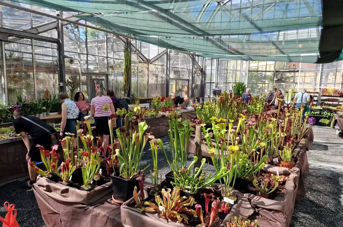 Выставка плотоядных растений в Ботаническом саду Карлова университета 2026 — Botanická zahrada Přírodovědecké fakulty Univerzity Karlovy v Praze, Прага