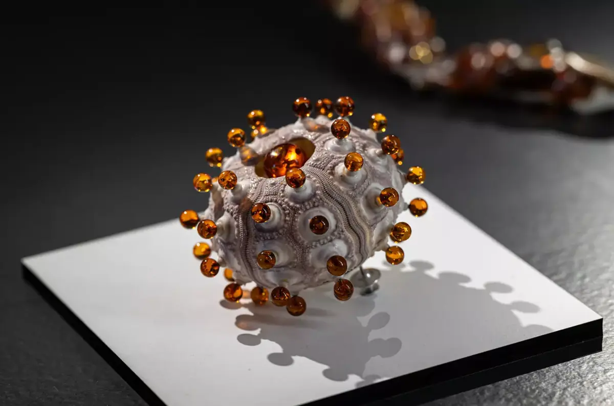Výstava Jantar jinak – unexpected amber — Dlaskův statek – Muzeum Českého ráje v Turnově, Turnov