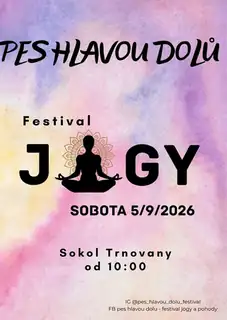 Teplický festival jógy - Pes hlavou dolů