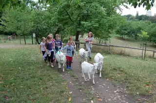 Kleine Bauern