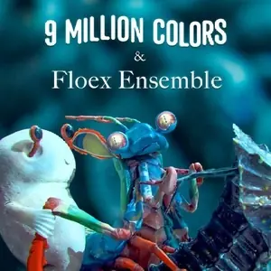 Floex — Smetanova Litomyšl, O.p.s., Litomyšl