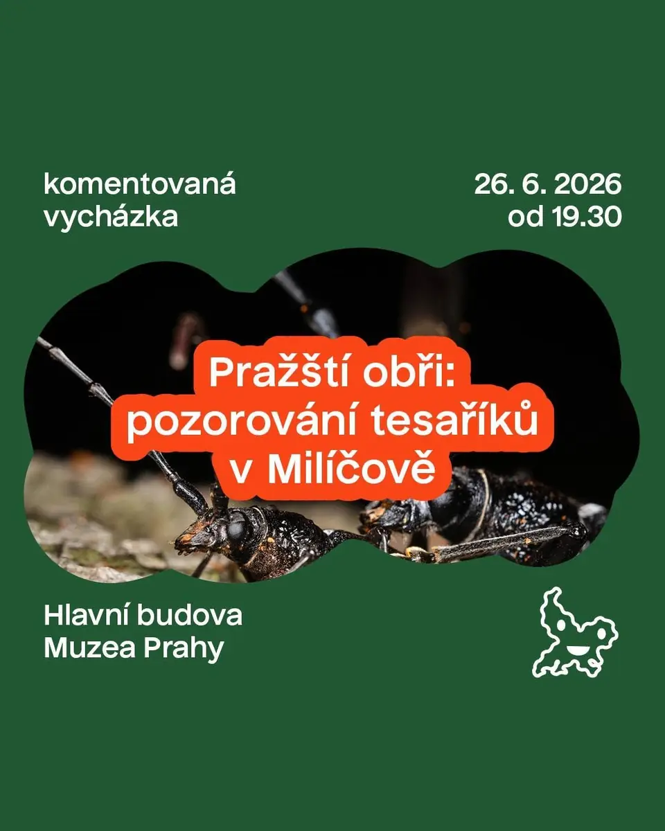 Pražští obři: pozorování tesaříků v Milíčově — Praha