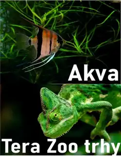 AKVA TERA ZOO TRHY