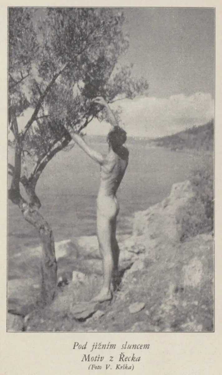 Bodies, Sexuality, Pools: What Do Queer Art Histories Tell Us? — Automatic Mills, Pardubice