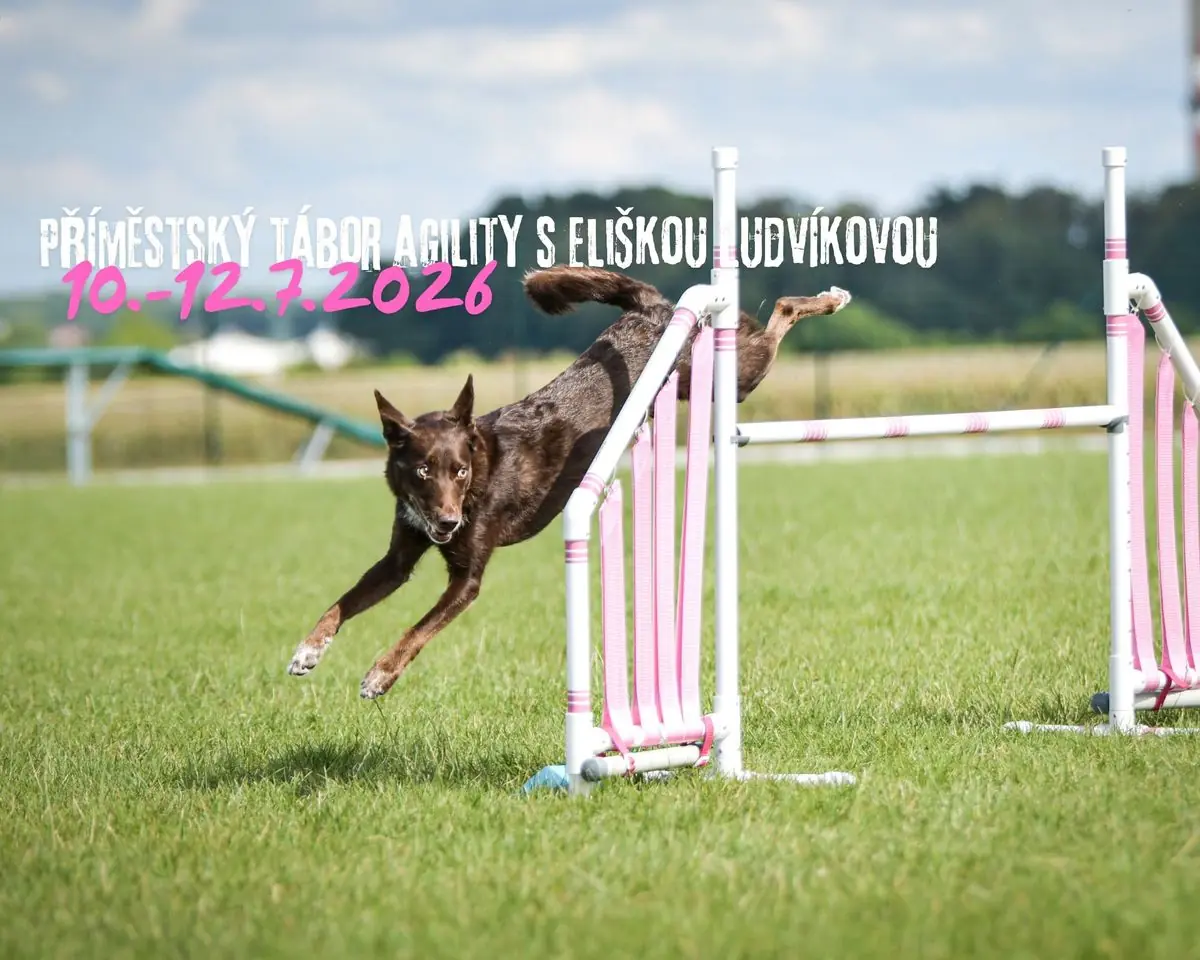 Sommercamp Agility mit Eliška Ludvíková — Klub psích sportů Březiněves, Prag