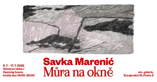 Савка Маренич - y
