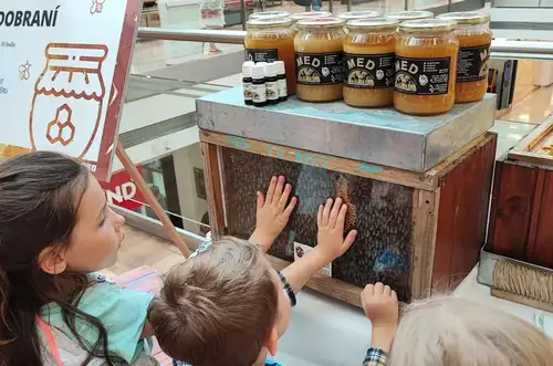 Bee Gathering at OC Flora
