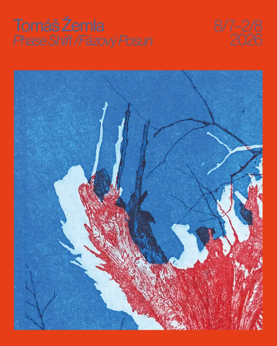 Томаш Жемла - Фазовый сдвиг — Galerie Nová síň, Прага